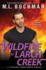 Wildfire_at_Larch_Creek