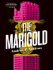 The_marigold