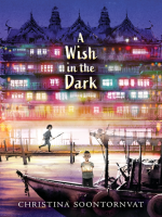 A_wish_in_the_dark