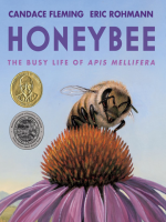 Honeybee__The_Busy_Life_of_APIs_Mellifera