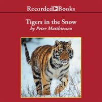 Tigers_in_the_Snow