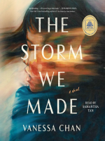 The_storm_we_made