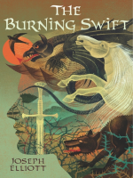 The_burning_swift