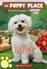 Miki__the_Puppy_Place__59___Volume_59