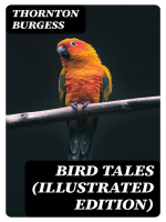 Bird_Tales__Illustrated_Edition_