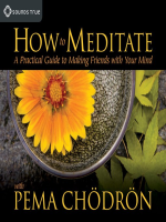 How_to_Meditate_with_Pema_Ch__dr__n